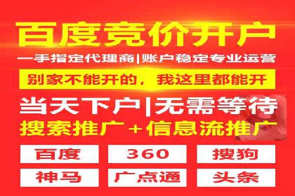 某电商平台的SEM专员营销策略
